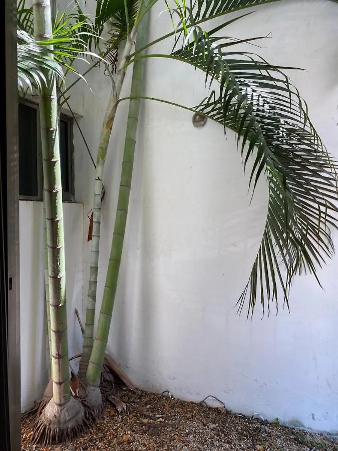 Apartament Condo Playa Playa del Carmen